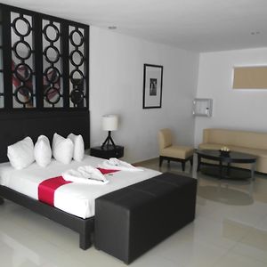 Habitación con Cama King